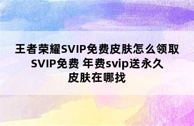 王者荣耀SVIP免费皮肤怎么领取SVIP免费 年费svip送永久皮肤在哪找